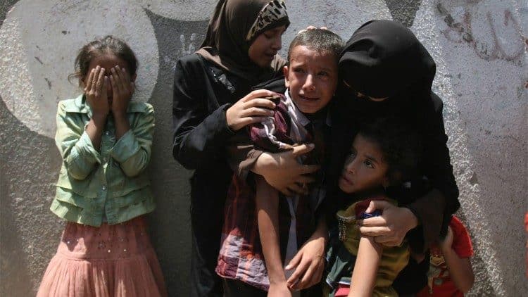 Profissionais abordam efeitos da guerra em mulheres e crianças em novo livro