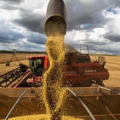 Brasil em ascensão: país pode ultrapassar os EUA e se tornar o principal exportador agrícola global, aponta publicação britânica